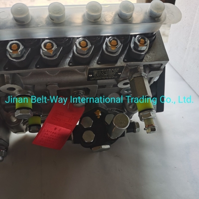 Sinotruk HOWO Części ciężarówki pompa wtrysku paliwa Vg1560080021 z wsparciem płatniczym w USD