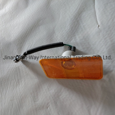 Sinotruk HOWO Części ciężarówki Lampa boczna Wg9100720012/2 Doskonała funkcjonalność