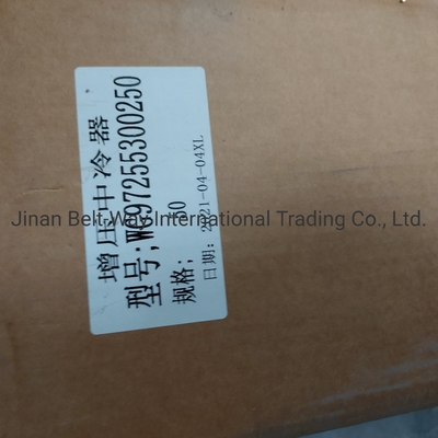 Sinotruk HOWO Części zamienne ciężarówki Supercharged Intercooler Wg97255300250 Wg9725530020