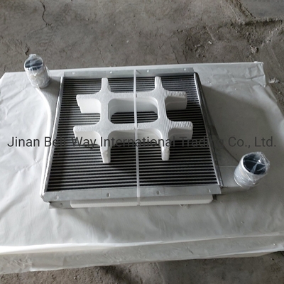 Sinotruk HOWO Części zamienne ciężarówki Supercharged Intercooler Wg97255300250 Wg9725530020