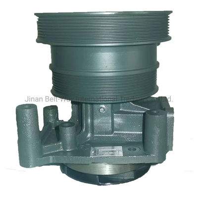 Weichai Power Diesel Engine Pump 612600060389 z każdą płatnością chronioną