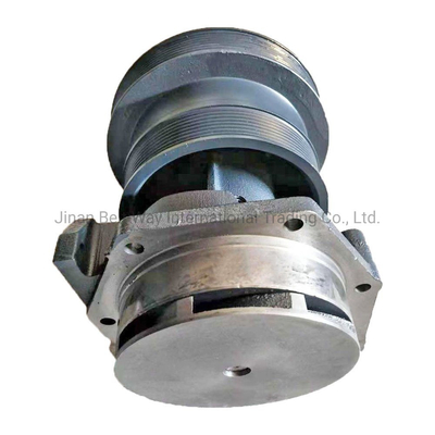 Weichai Power Diesel Engine Pump 612600060389 z każdą płatnością chronioną